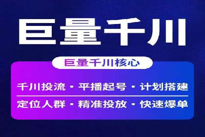 百度竞价代理操作手册：成功案例分析